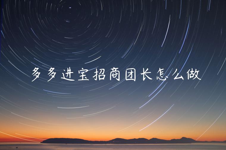 多多進(jìn)寶招商團(tuán)長(zhǎng)怎么做